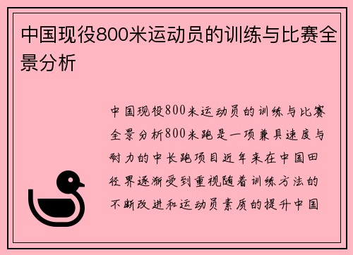 中国现役800米运动员的训练与比赛全景分析